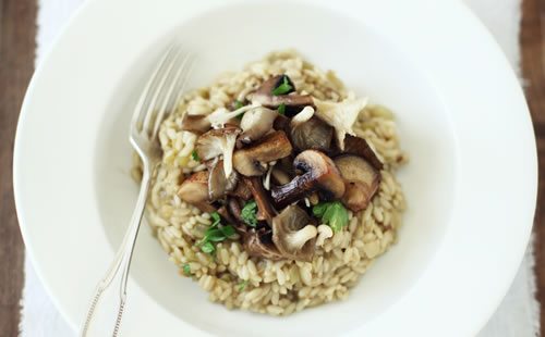 Mushroom Risotto