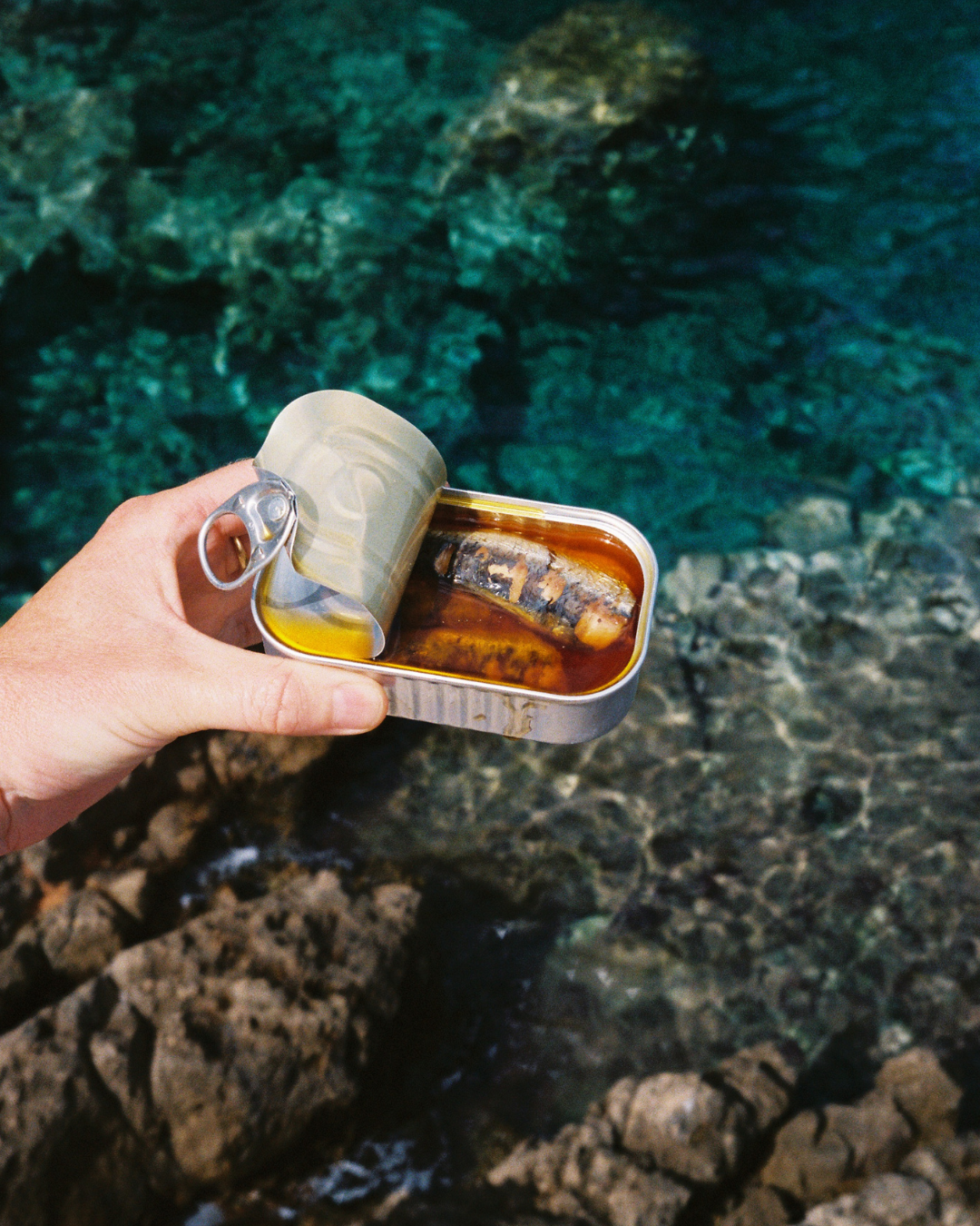 MSC Spicy Sardines in Organic EVOO