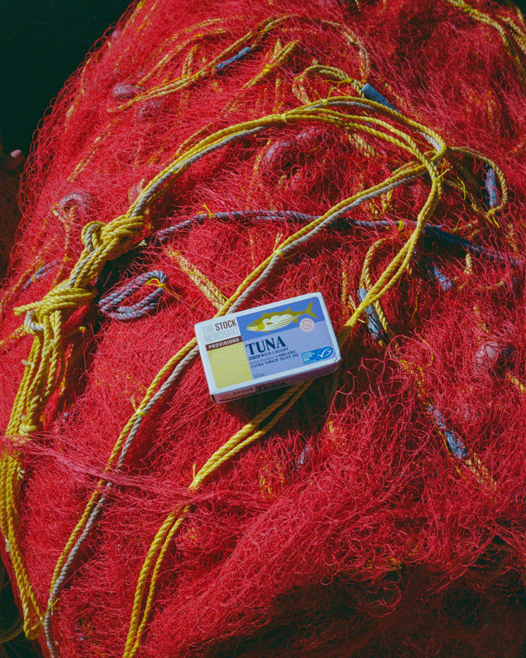 MSC Tuna in Organic EVOO