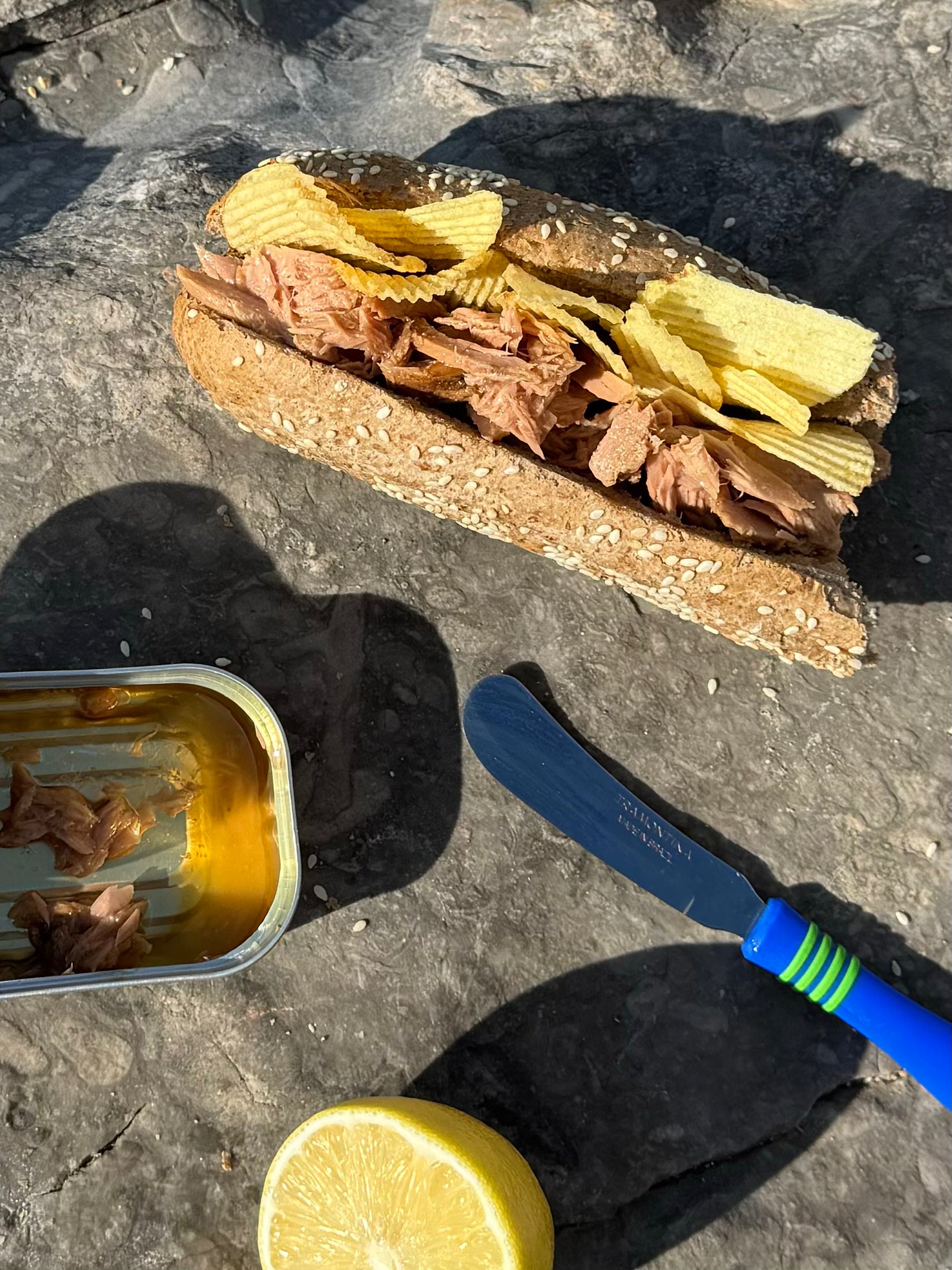 MSC Tuna in Organic EVOO